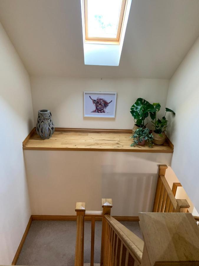 Hen Pen Villa Монтроуз Екстериор снимка